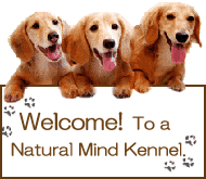 ようこそ！ナチュラルマインド犬舎へ♪子犬販売・子犬情報・仔犬検索サイト
